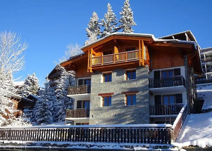 Appartement Dans Un Chalet Typique De Montagne A La Rosiere